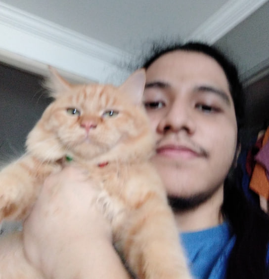 hypnogroom3.jpg