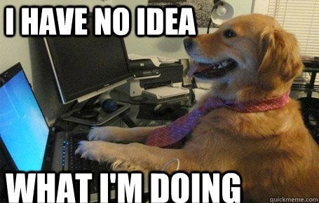 I_Have_No_Idea_What_Im_Doing_Dog_02.jpg