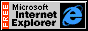 ie_logo.gif