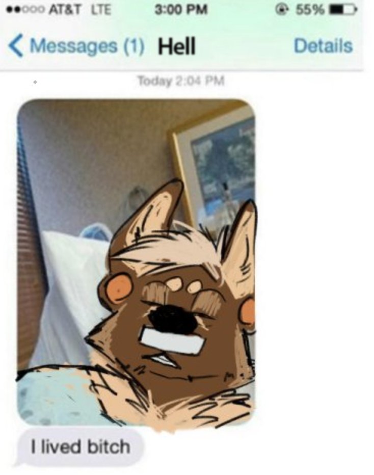 ilivedbitch.jpg