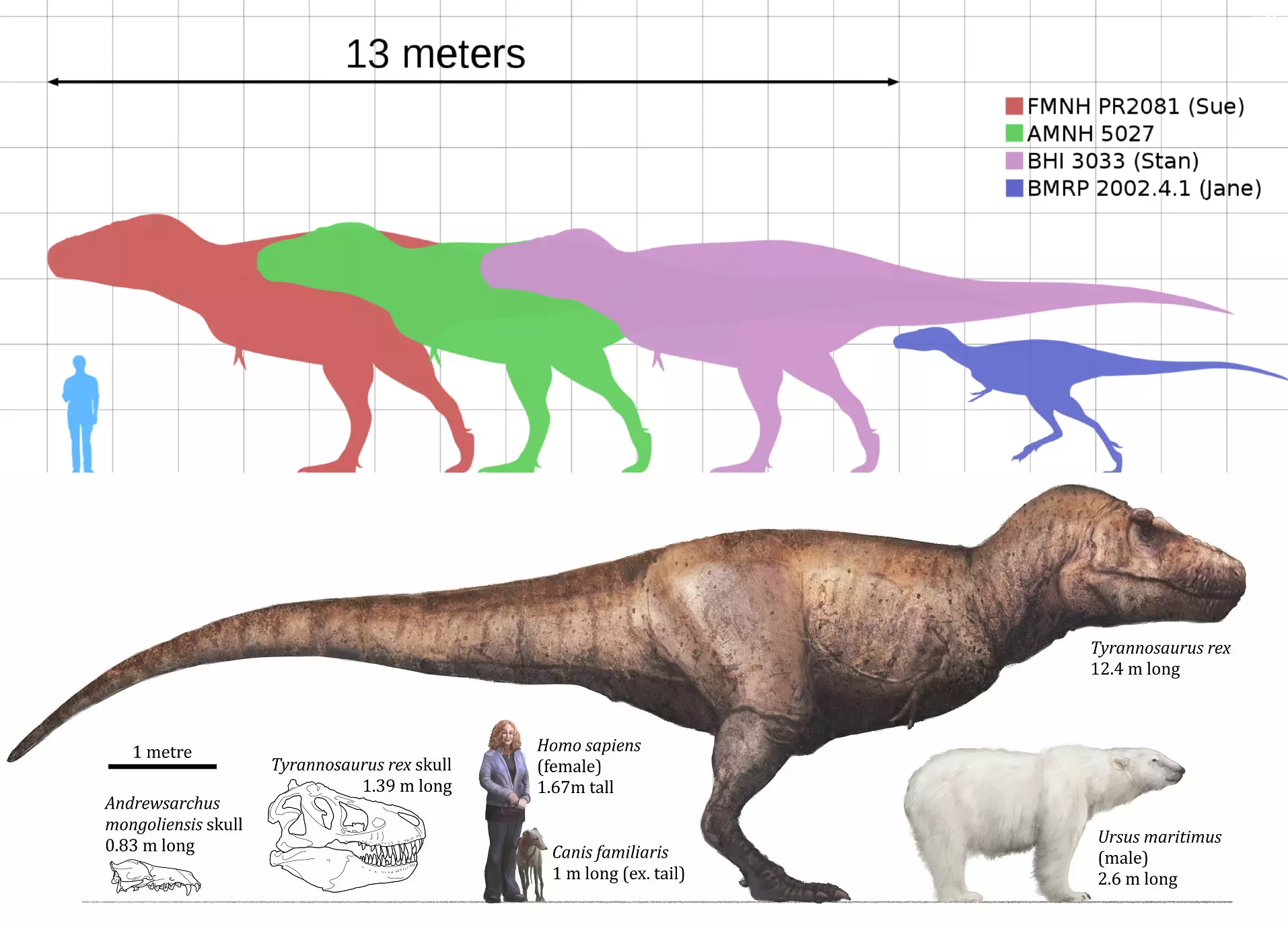 image (4).webp