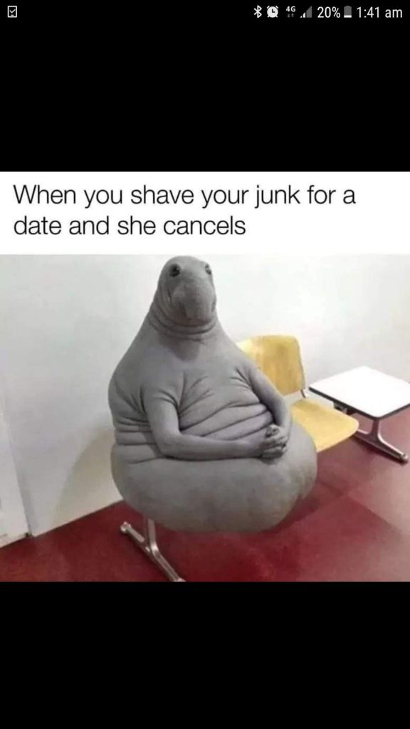 image.jpeg
