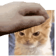 IMG_0925.gif