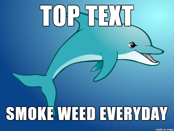 IMG_3519.PNG