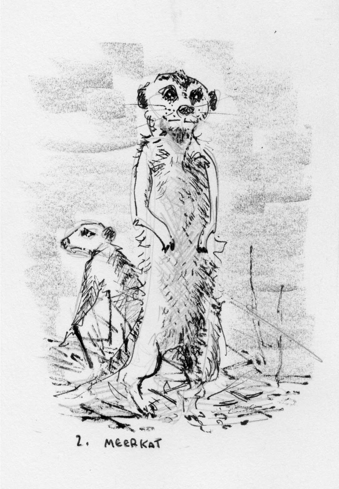 ink2019 Meerkat.jpg