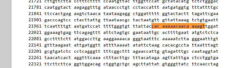 INS2 code.jpg