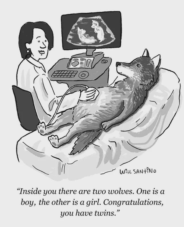 inside of you are two wolves congratulations.jpeg