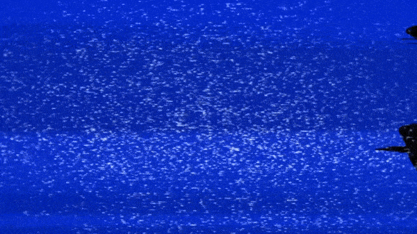 introro.gif