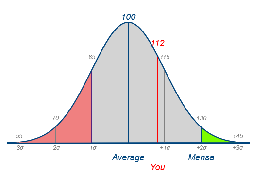 iqscore.PNG