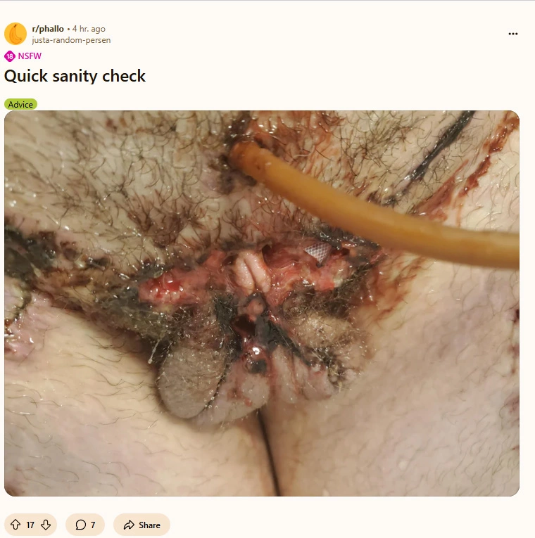 It-rotted-off.webp