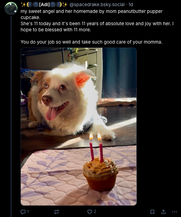 janeway bday 1.png