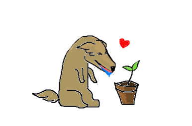 Joosh and plant .jpg