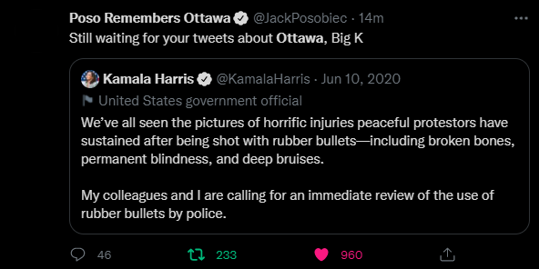 kamala harris talks about riot control.png