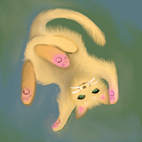kitty.png