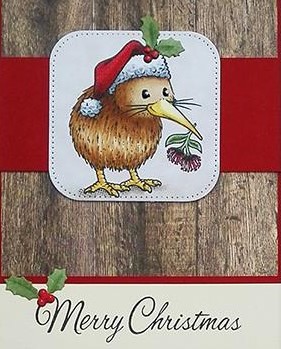 Kiwi Christmas.jpg