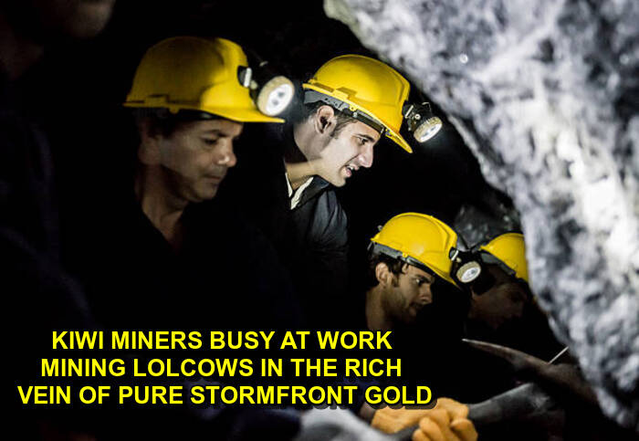 KIWI MINERS.jpg