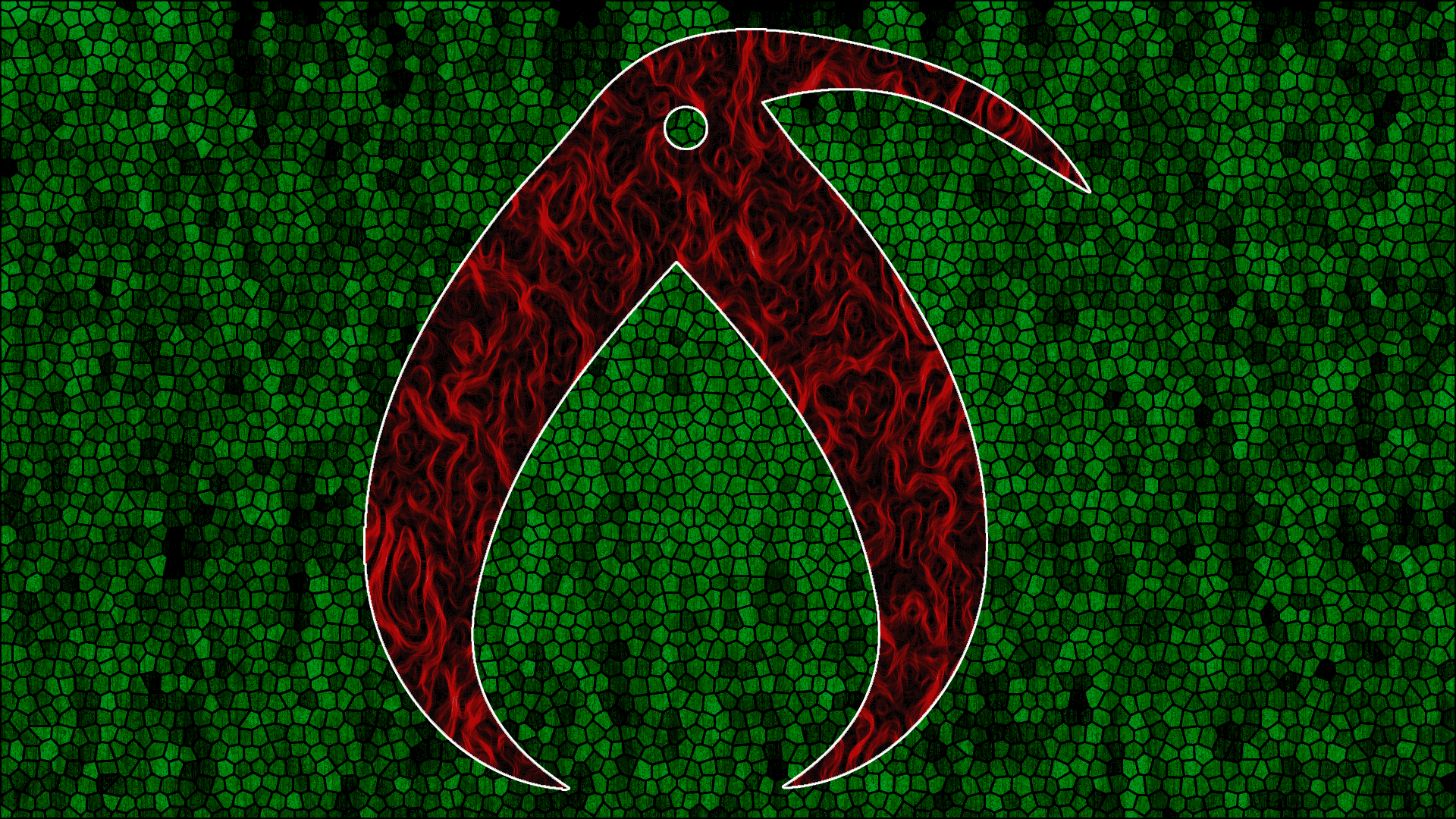 kiwi wallpaper hq 2.png