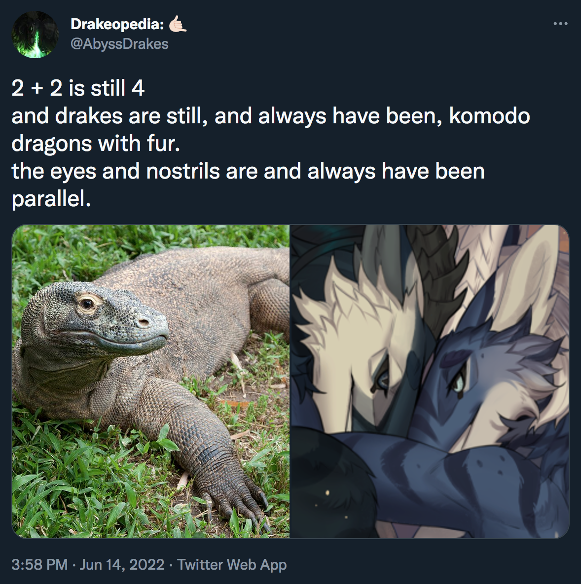 komododragons.png