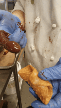 kplF5z6.gif