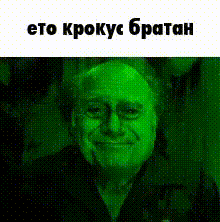 krokus.gif