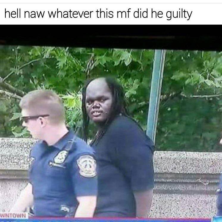 lawl.jpg