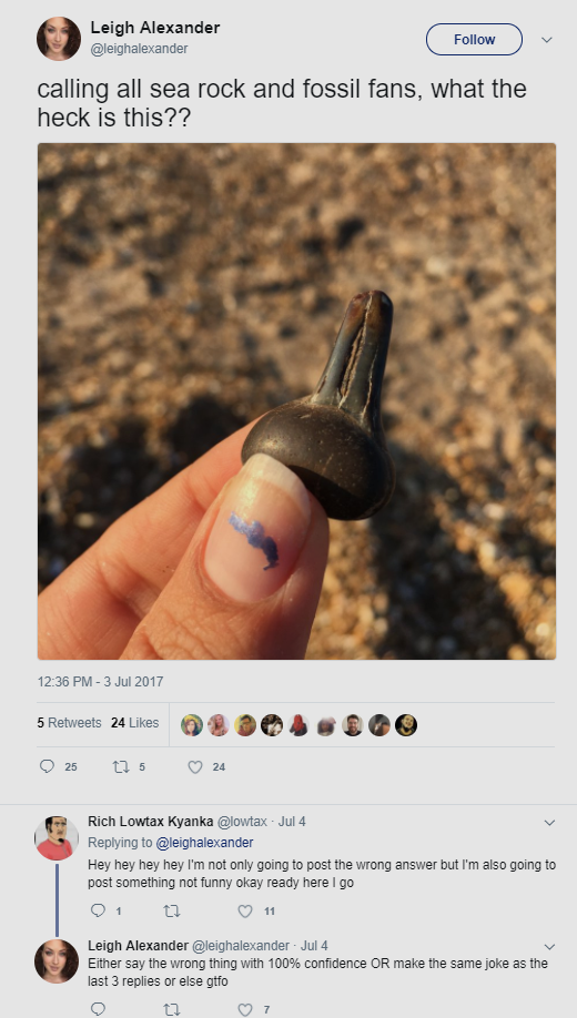 leigh alexander lowtax .PNG