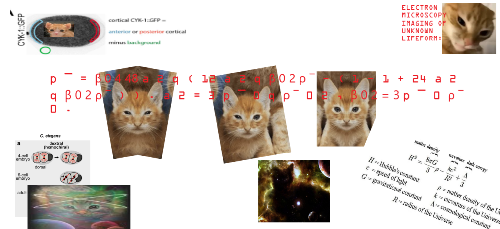 lifeform.png