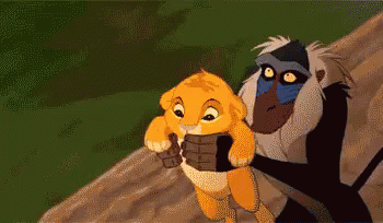 lion-king-throwing.gif
