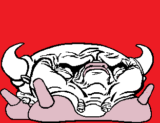 lolcowColor.gif