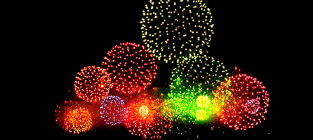 lou's gay fireworks.gif