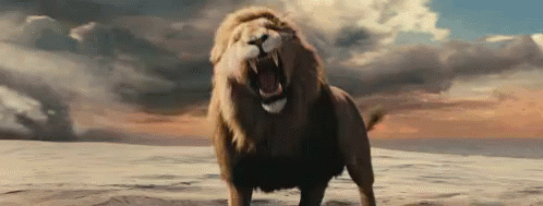 LYON.gif