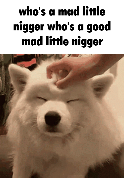 mad.gif