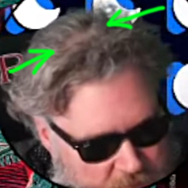 malding balding pig.jpg