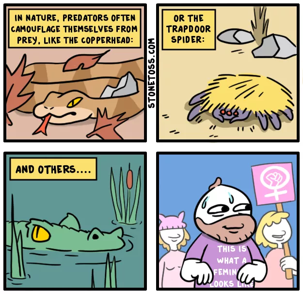804603