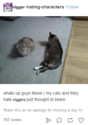 mappp.png