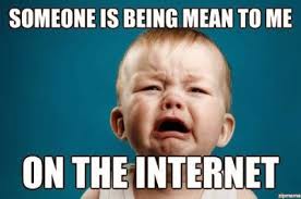 Mean on the internet.jpg