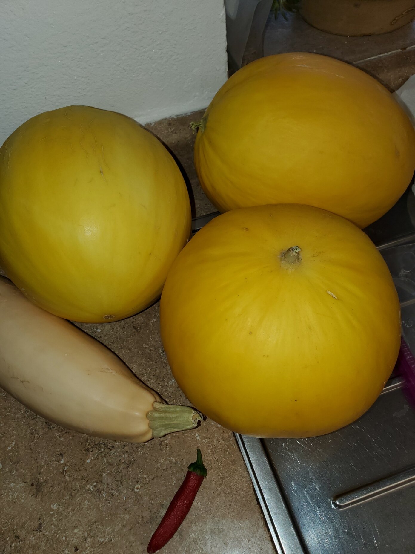 melons.jpg