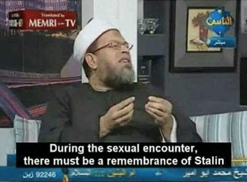 memri8.png