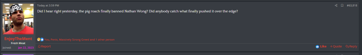 ment 1.png