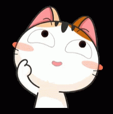 meow-thinking.gif