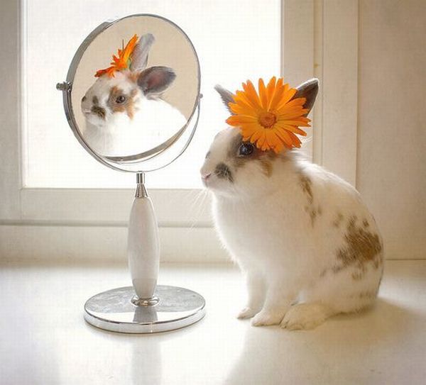 mirror10.jpg