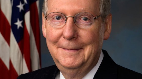 mitch.jpg