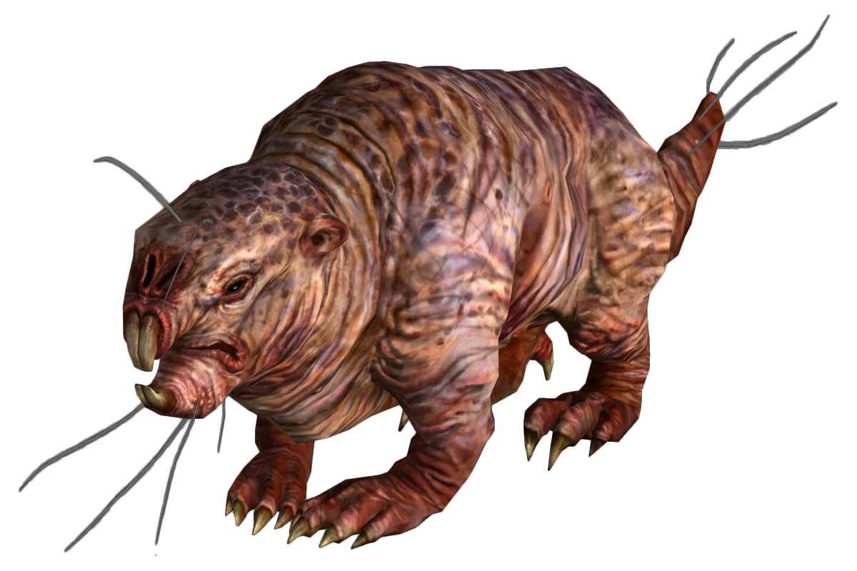 Mole_rat_FO3.png