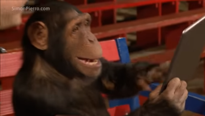 monkey ipad.png