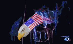 murica.gif