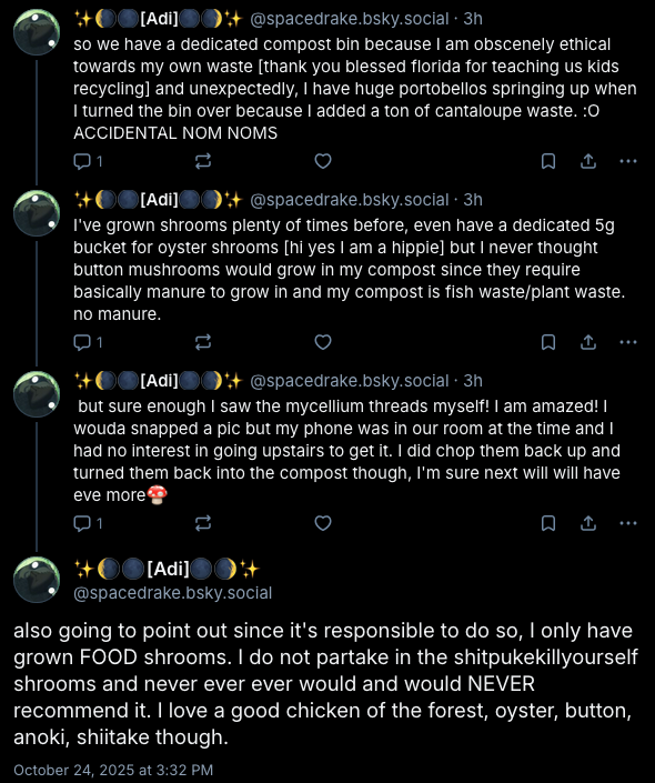 mushrooms.png