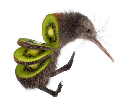 nbnOpKj.png