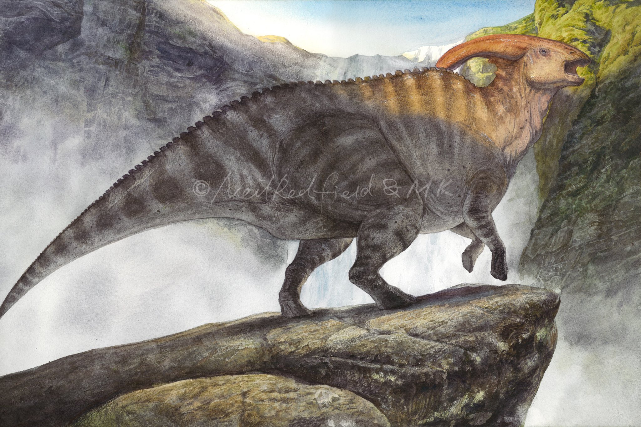 Neil Redfield - Charonosaurus.jpg