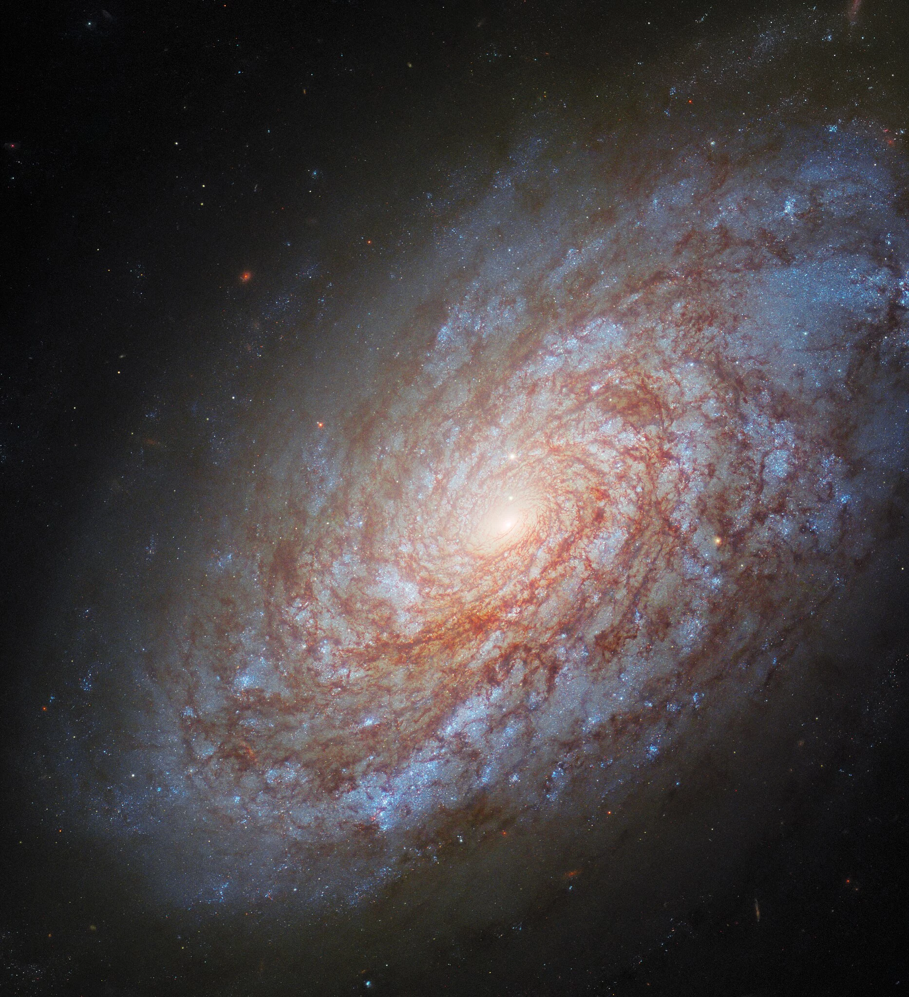 NGC-4414.webp