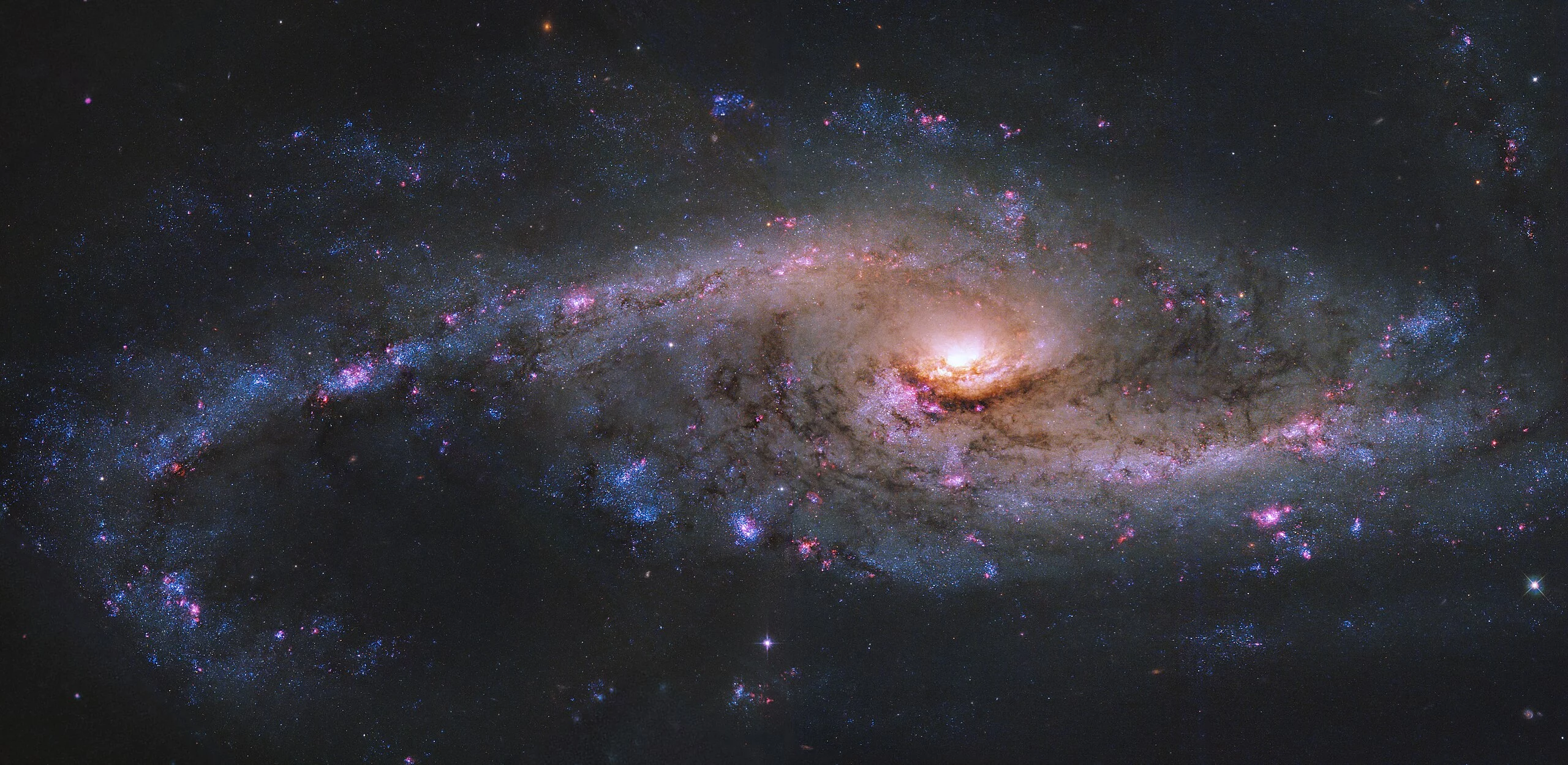 NGC-4536.webp